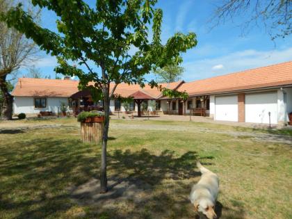 BAUERNHAUS BAUERNHOF GEHÖFT LANDHAUS HAUS IN UNGARN ZU VERKAUFEN