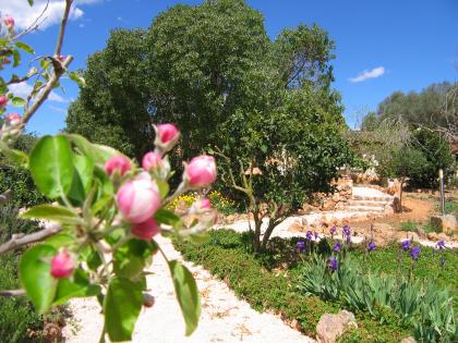 SARDINIEN-FerienunterkünfteTraumhaftes Ferien