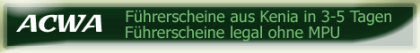 Führerschein Probleme