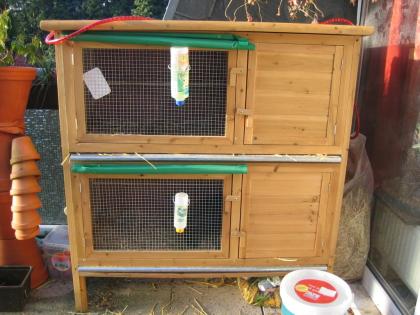 2 Kaninchen inkl. Außenstall Käfig und Zubehör Preis VB