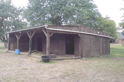 Schönen Offenstallplatz in Havekost für RentnerPony Rehe geeignet