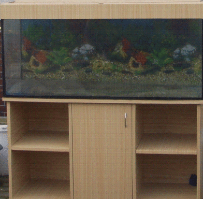 Juwel Aquarium 250l
