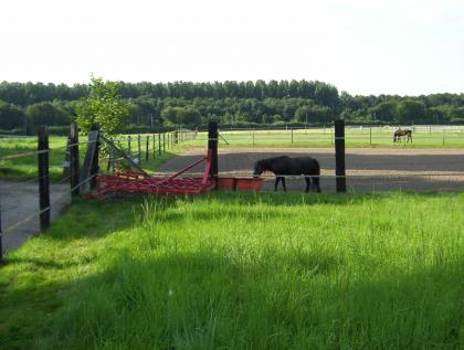 Pferde - Boxen Pony - Boxen frei