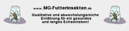 Futterinsekten Futtertiere Heuschrecken Heimchen Grillen uvm.
