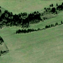 Dach und Freiflaechen Immobilien