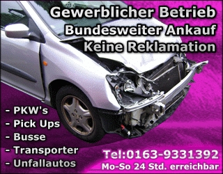 Auto Fahrzeug Transporter mit Gewitterschaden Sturmschaden Ankauf