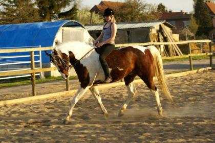 Nettes Zuverlässiges Mädchen sucht Reitbeteiligung in Hamburg.