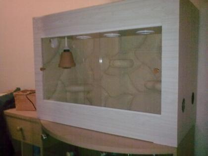 TERRARIEN BAU