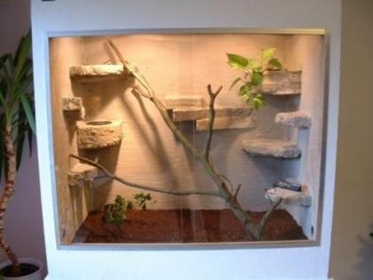 Terrarien-Bau auch nach Ihren Wünschen