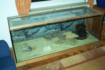 Terrarium inkl. Zubehör zu verkaufen 1 70x0 60x0 60m