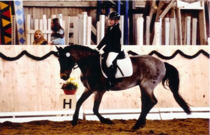Dressurpony der Extraklasse