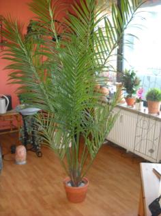 Dekorative naturgetreue Areca-Kunstpalme im Teracotta-Übertopf 190 cm zu verka
