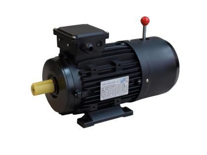 Elektromotor durchgebrannt einen Bremsmotor 0 75 KW Elektromotor neu wickeln