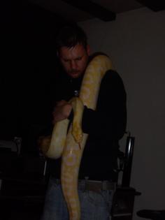 Albino Tigerpython weibchen 3 30m / NZ 04/2008