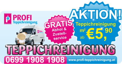 Sonderaktion PROFI TEPPICHREINIGUNG ab 5 90 mit kostenloser Abholung