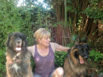 Manuelle Regulationstherapie für Hunde und Katzen