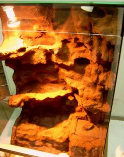 Terrarien Zubehör Pflanzen Technik