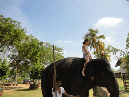 Reiseführung Deutschsprachig auf Sri Lanka