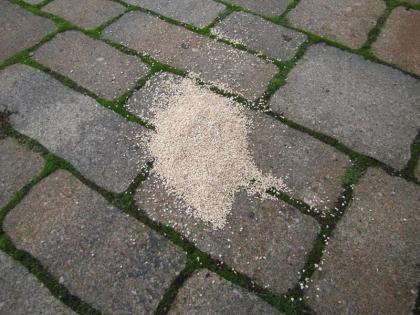 Pflanzliches Winterstreugranulat für empfindliche Flächen