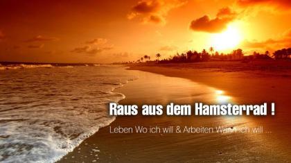 Kostenloser Videokurs zum Geld verdienen
