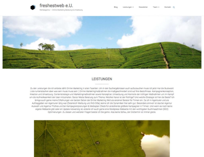 Wordpress Webseite günstig