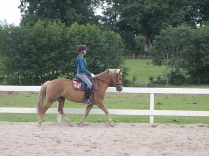 Junges Angagiertes Mädchen sucht RB