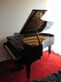 Salonflügel Steingräber Söhne 200 cm