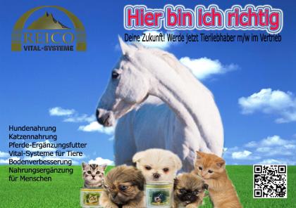 Sie sind tierlieb und offen Dann sind Sie bei uns richtig