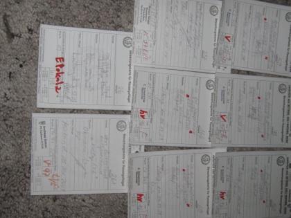 Bruteier aus V Zucht vom. SV Züchter v. Lachshühner in Weiß und Lachsf. 1 20 Euro