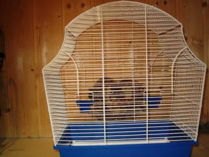 Biete Vogel-Käfig für fast alle Vogelarten Z. B Wellensittiche Kanarienvögel