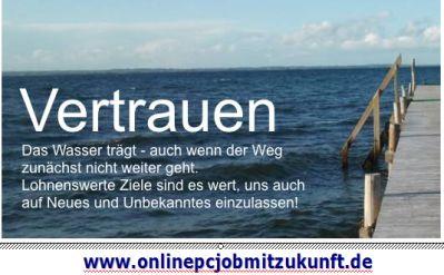 Teamplayer mit Versionen für Vertrieb/Marketing mit automatischem Onlinekonzept