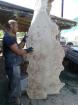Getrocknetes Schnittholz aus Topolya - Pappelholz bestellbar