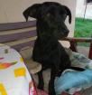 Loulou - am Anfang etwas zurückhaltend