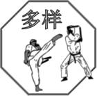 DUO-YANG Martial Arts Kampfsportstudio Plauen