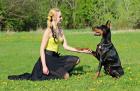 Online Hundetrainer schon über 10 000 glückliche Halter und Hunde