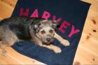 Niedliche Hundedecken mit Namen Handarbeit