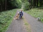 Wohlerzogener Familienhund Golden Retriever und ruhiger kinderlieber Jack Rus