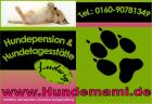 Kleine aber feine Hundepension ohne Zwinger mit 100 Familienanschluss