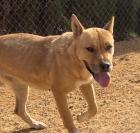 Holly sucht ein neues zu Hause