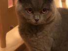 Deckkater