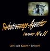 Nebenjob als Katzensitter zu vergeben Katzenbetreuung - Katzensitting - Tierbet
