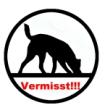 Hund vermisst 2022 Euro Belohnung