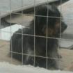 Nerina 1 Jahr sucht liebevolle Familie