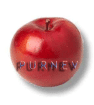 PR Marketing Consulting Corporate Culture and Image D CH A