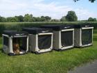 Orignale englische Croft Hundebox faltbar inkl. Sichtschutz