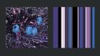 Kunstzone-Berlin Fotokunst Grafik Malerei Leinwandbilder ab 50 Euro
