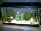 120 Liter Aquarium von Waterhome