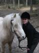 Reitbeteiligung bzw. Pflegepferd/Pony in der Krummhörn gesucht