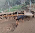Maria sucht ein passendes Zuhause