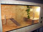 Schönes Terrarium 110x50x50 komplett Eingerichtet